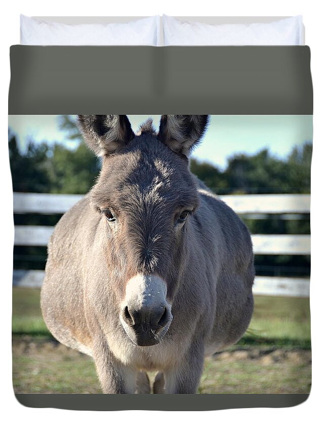 Animal Duvet Cover featuring the photograph You Wanna Pin What Where? by Andrea Platt