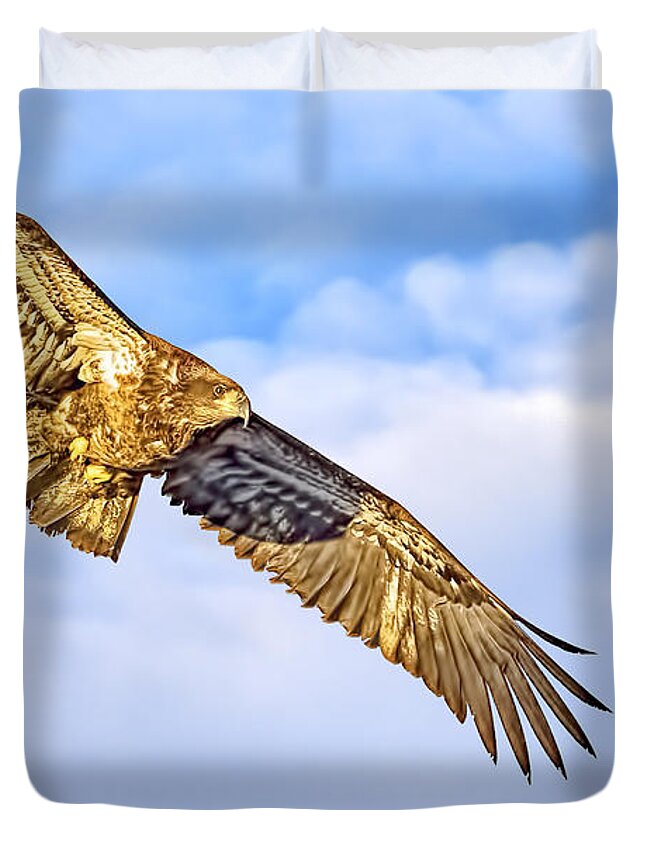 Eagle Duvet Cover featuring the photograph Young Bald Eagle by LeeAnn McLaneGoetz McLaneGoetzStudioLLCcom