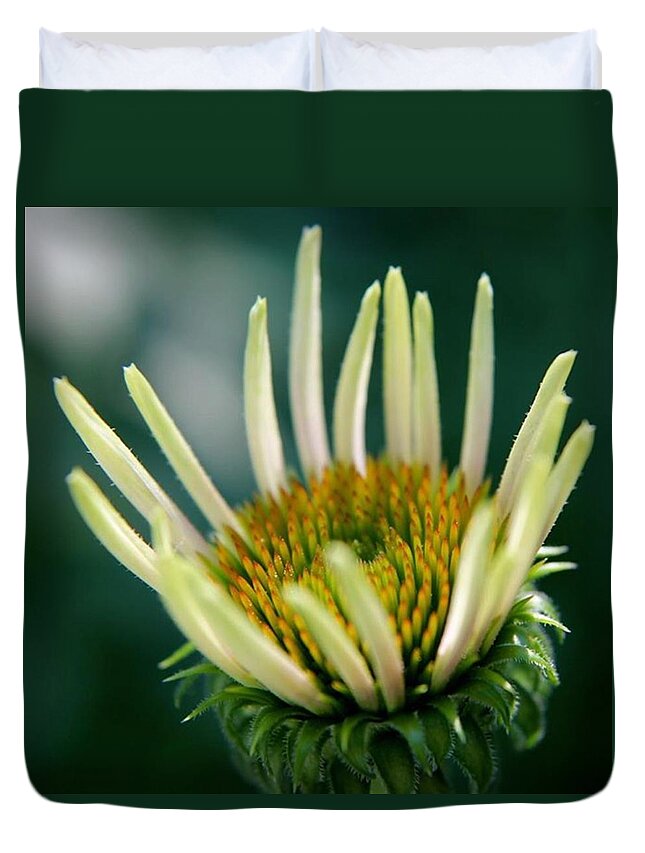 Cone Flower Duvet Cover featuring the photograph Young Cone by Justin Connor