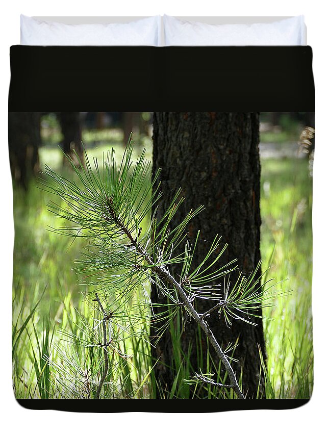 Nature Duvet Cover featuring the photograph Young Pine in the Woods by Laurel Powell