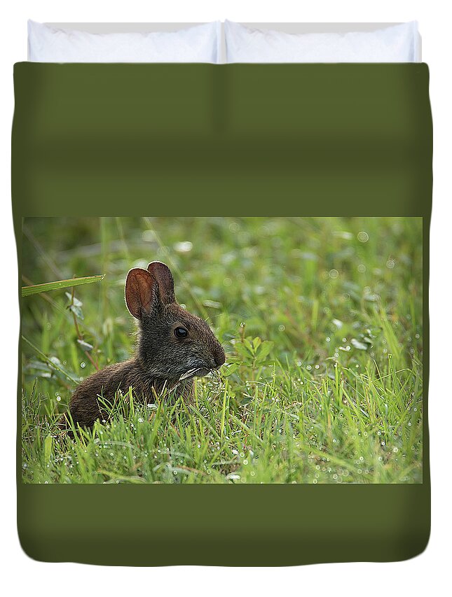 Rabbit Duvet Cover featuring the photograph Young Rabbit Dining by Richard Goldman