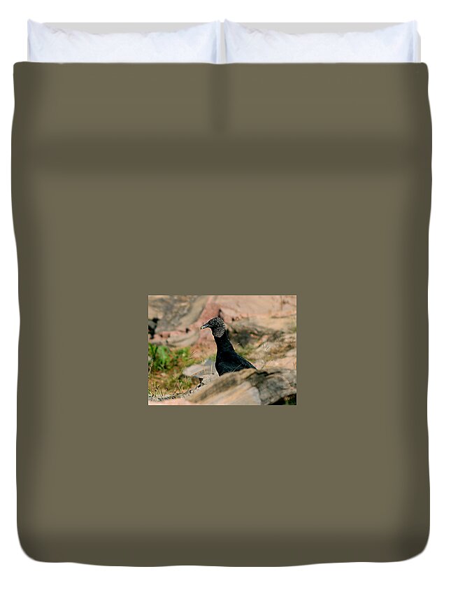 James Smullins Duvet Cover featuring the photograph Young black vulture by James Smullins
