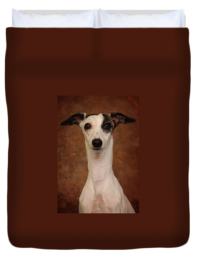 Whippet Duvet Cover featuring the photograph Young Whippet by Greg and Chrystal Mimbs