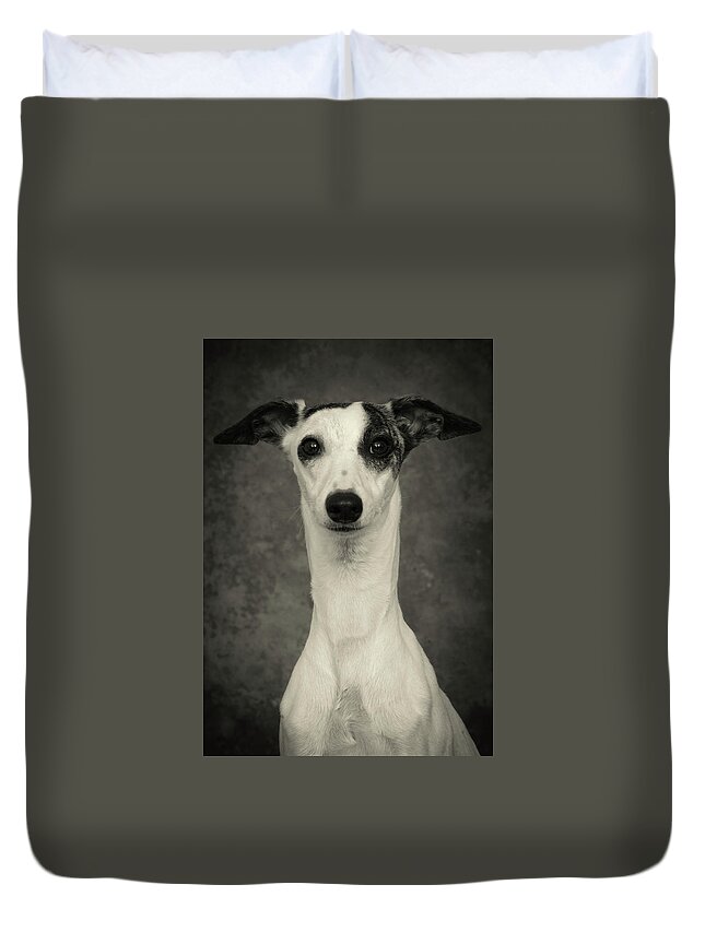Whippet Duvet Cover featuring the photograph Young Whippet In Black and White by Greg and Chrystal Mimbs
