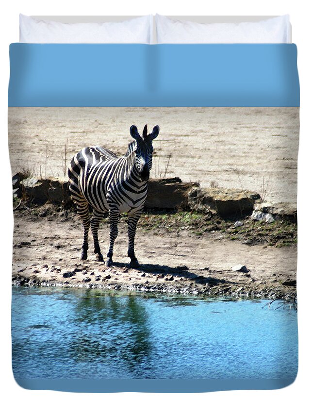Zebra Duvet Cover featuring the mixed media Zebra at the watering hole by Steve Karol