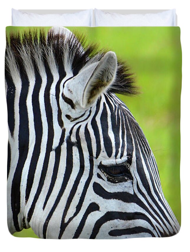Zebra Duvet Cover featuring the photograph Zebra Head Smiling with Mouth Open by Artful Imagery