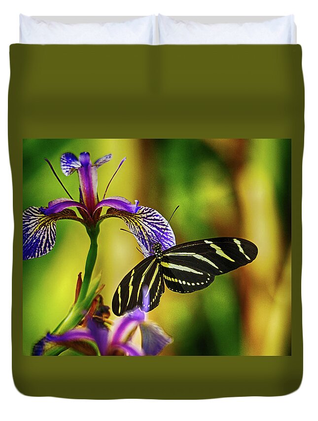 Butterfly Duvet Cover featuring the photograph Zebra Longwing on Iris by C H Apperson