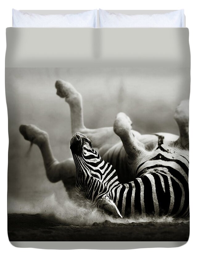 Zebra Duvet Cover featuring the photograph Zebra rolling by Johan Swanepoel