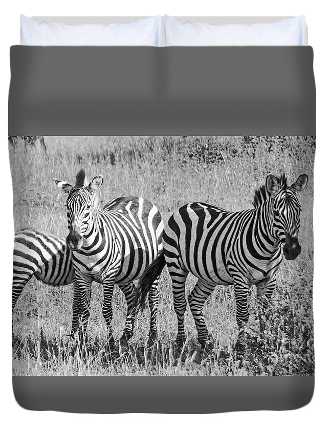 Zebras Duvet Cover featuring the photograph Zebras in thought by Pravine Chester