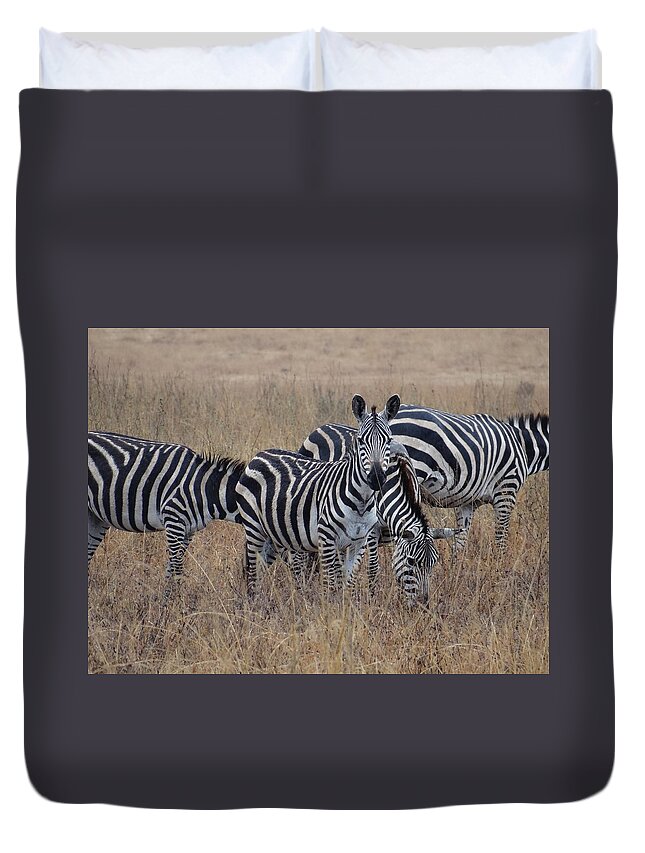 Exploramum Duvet Cover featuring the photograph Zebras walking in the grass 2 by Exploramum Exploramum