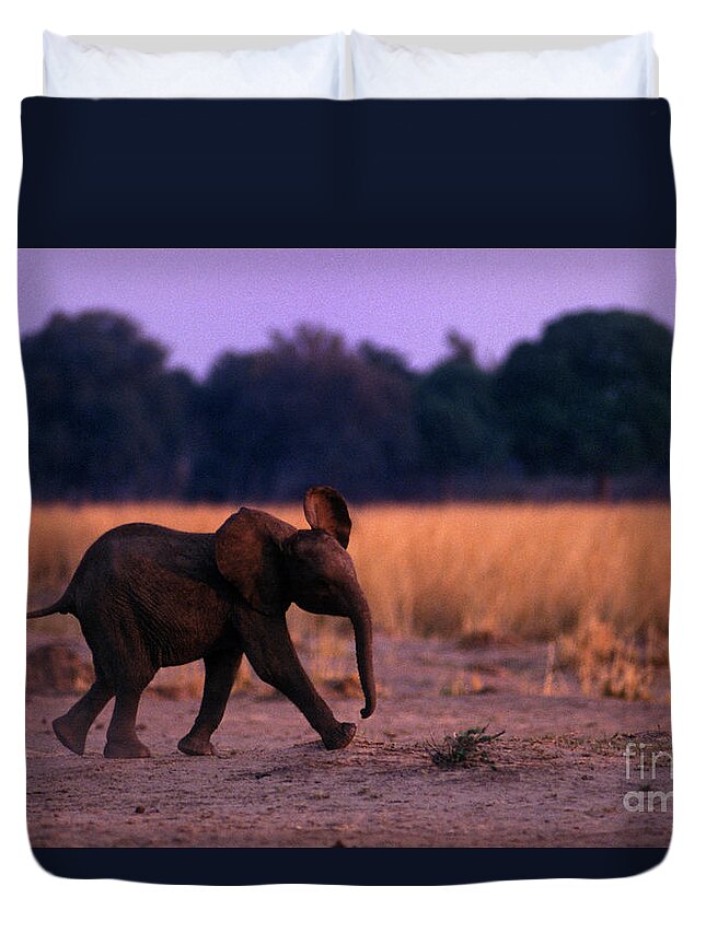 Baby Duvet Cover featuring the photograph Zimbabwe_63-15 by Craig Lovell