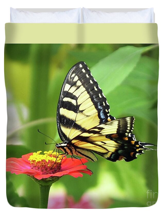 Butterfly Duvet Cover featuring the photograph Zinnia 59 Tiger Swallowtail by Lizi Beard-Ward