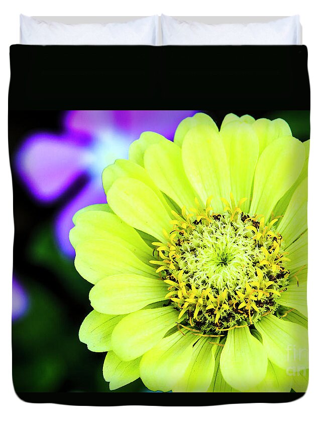 Zinnia Duvet Cover featuring the photograph Zinnia Flower by Ben Graham