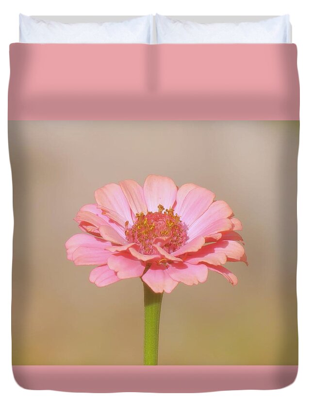 Zinnia Duvet Cover featuring the photograph Zinnia Pastel by MTBobbins Photography