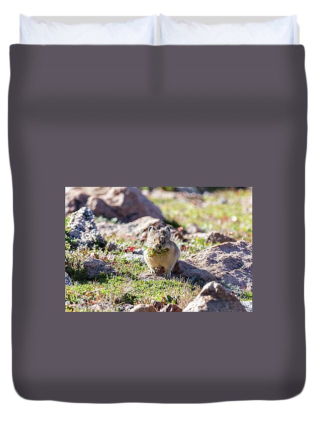 Pika Duvet Cover featuring the photograph American Pika with a Mouthful #1 by Tony Hake