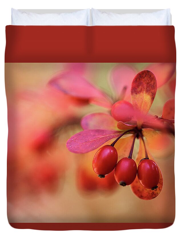 Autumn Duvet Cover featuring the photograph Autumn Colors by Nailia Schwarz