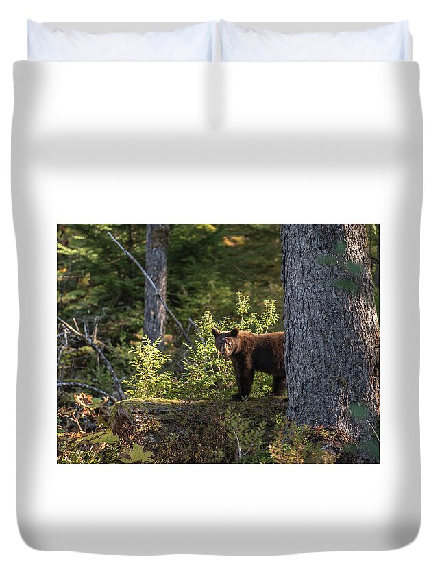 Bear Duvet Cover featuring the photograph Bear by David Kirby