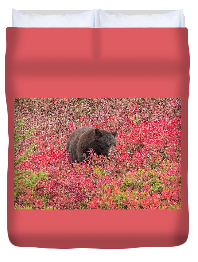 Black Bear Duvet Cover featuring the photograph Berries for the Bear by E Faithe Lester