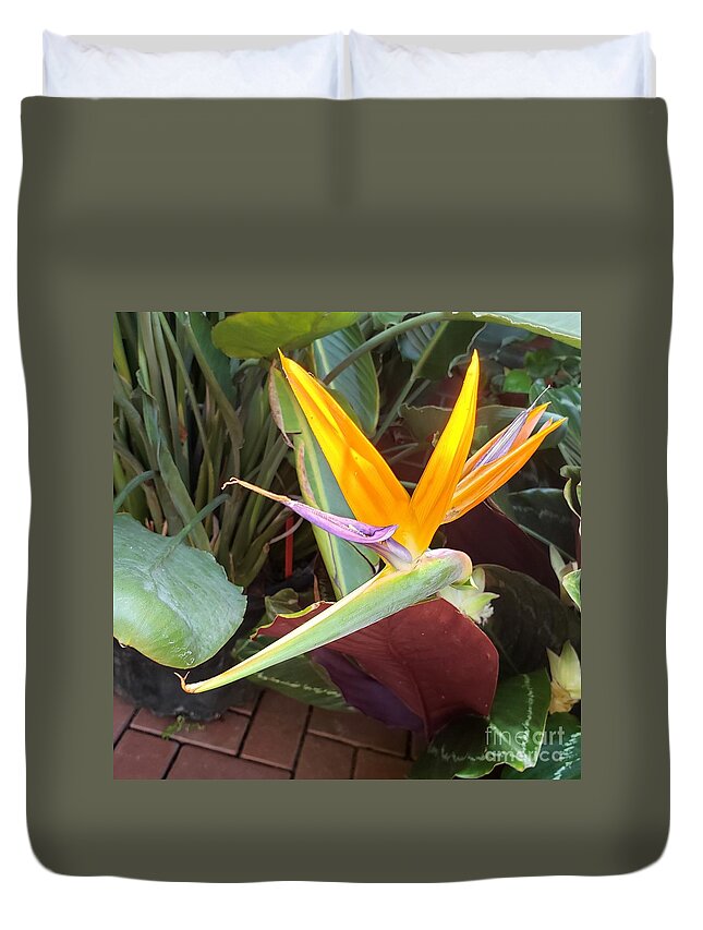 Flower. Gold Duvet Cover featuring the photograph Bird of Paradise #1 by Anita Adams