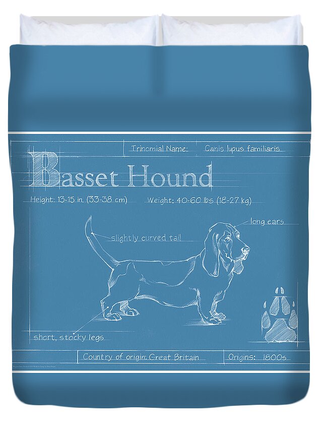 Dogs Duvet Cover featuring the painting Blueprint Basset Hound by Ethan Harper