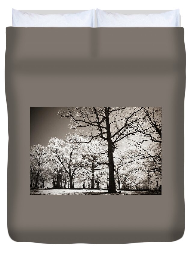 Photo Duvet Cover featuring the photograph Bright Spring Day -2 #2 by Alan Hausenflock
