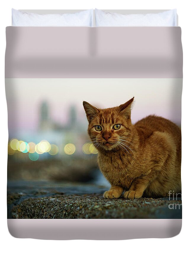 Vacation Duvet Cover featuring the photograph Brown Cat and Cathedral by the Sea Cadiz Spain #1 by Pablo Avanzini