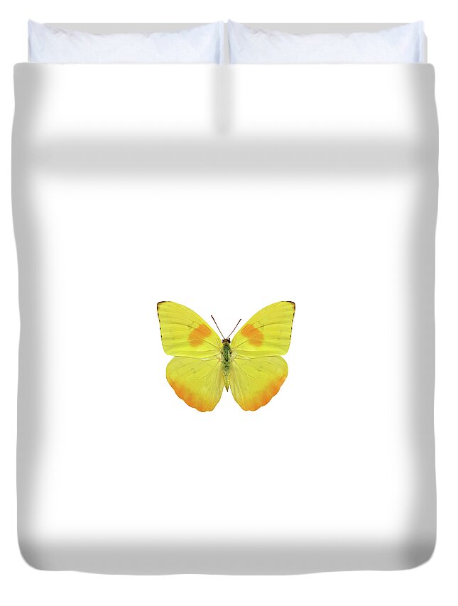 Curve Duvet Cover featuring the photograph Butterfly #1 by Trout55