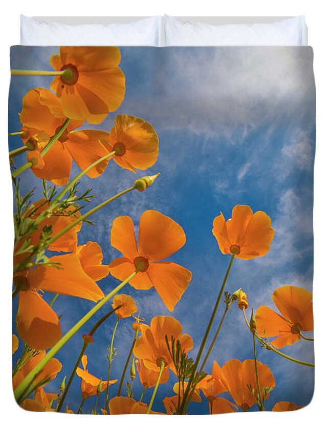 00568175 Duvet Cover featuring the photograph California Poppies In Spring Bloom, Lake Elsinore, California #1 by Tim Fitzharris