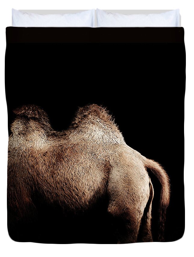 Majestic Duvet Cover featuring the photograph Camel #1 by Henrik Sorensen