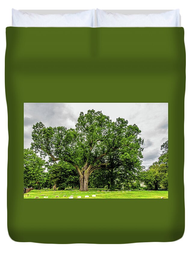 Centennial Oak Duvet Cover featuring the photograph Centennial Oak, Salem Oak Tree by Louis Dallara