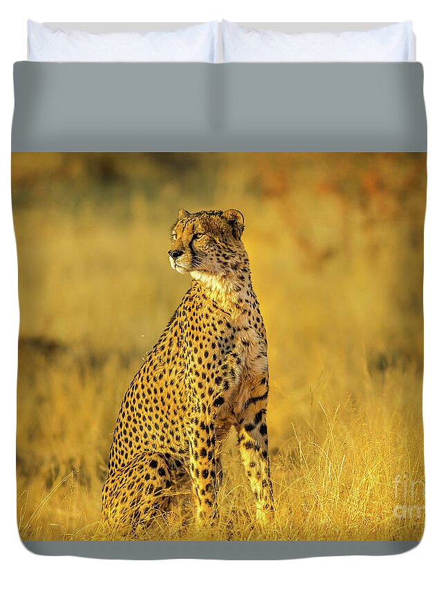 Cheetah Duvet Cover featuring the photograph Cheetah South Africa #1 by Benny Marty