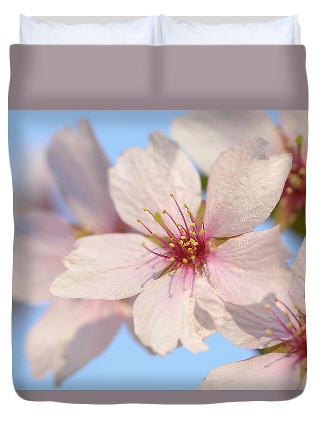 Chemnitz Duvet Cover featuring the photograph Cherry Blossom #1 by Cornelia Doerr