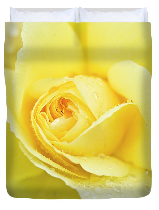 Petal Duvet Cover featuring the photograph Close-up Of A Yellow Rose Rosa Sp #1 by Mike Hill