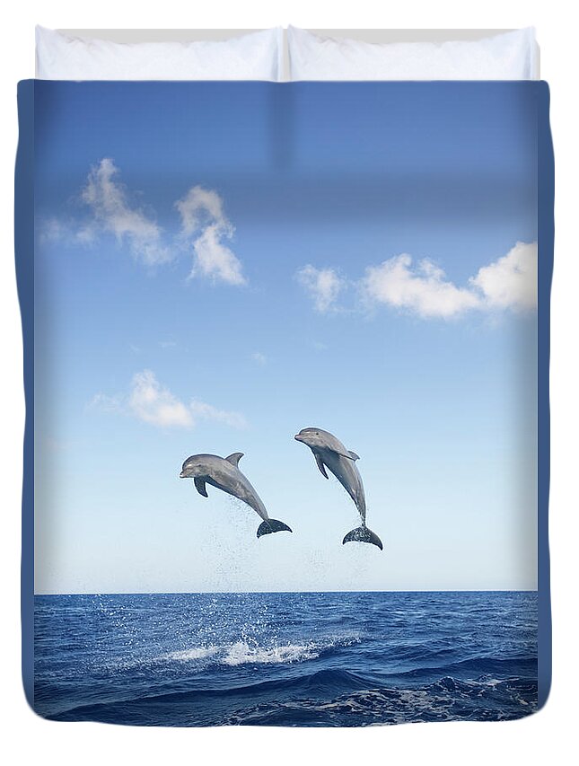 Aerodynamic Duvet Cover featuring the photograph Common Bottlenose Dolphins Tursiops #1 by Mike Hill
