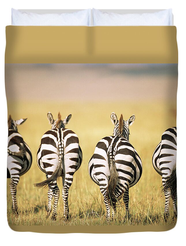Plains Zebra Duvet Cover featuring the photograph Common Zebra Behinds #1 by James Warwick