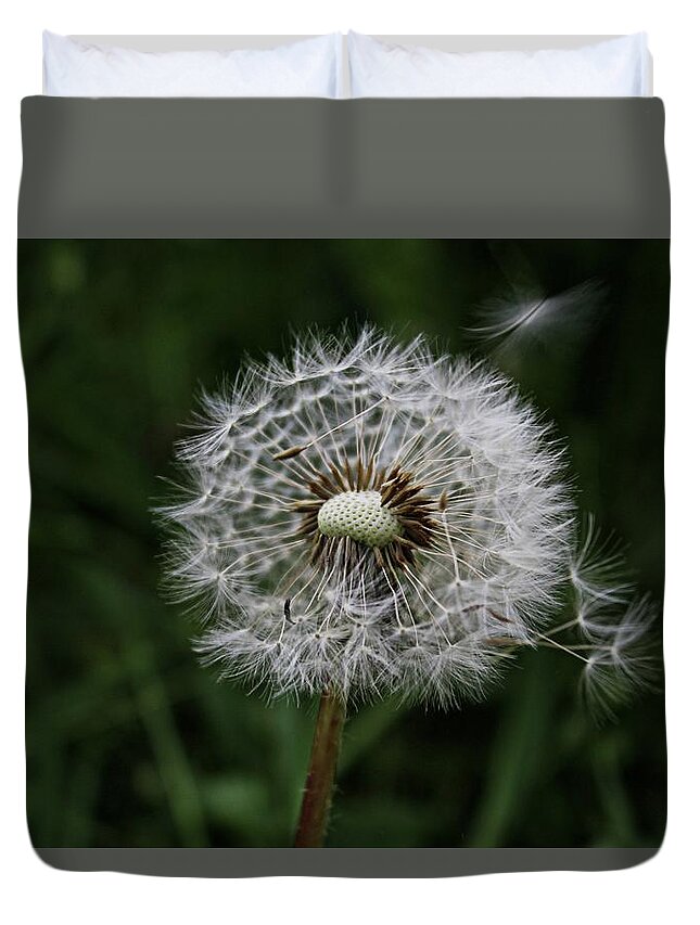 Dandelion Head Duvet Cover featuring the photograph Dandelion head close up #1 by Martin Smith