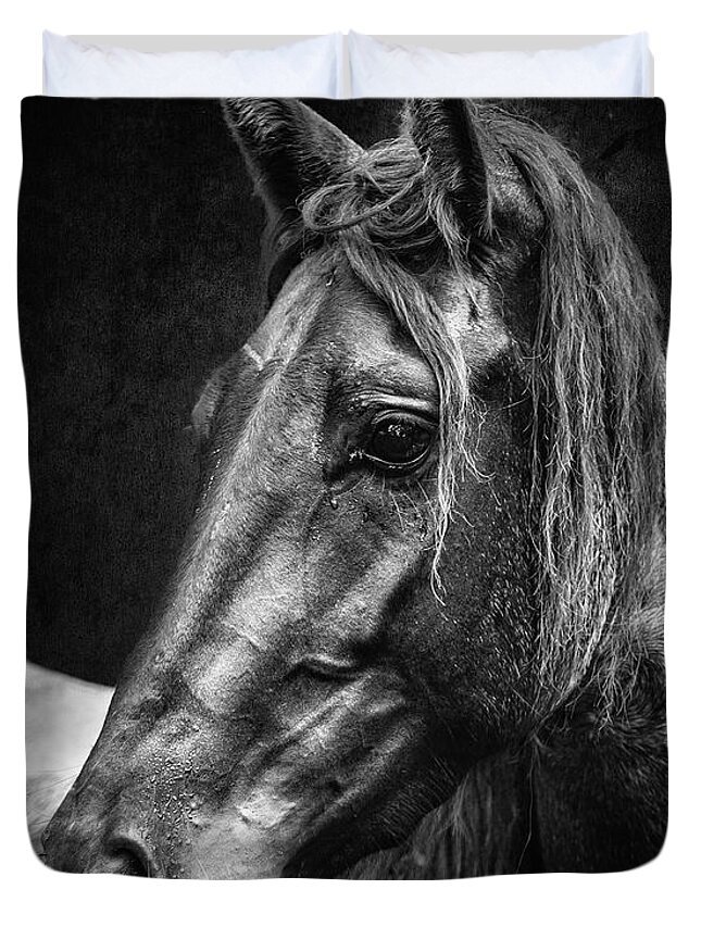 Horse Duvet Cover featuring the photograph Dark Horse #1 by Ron McGinnis