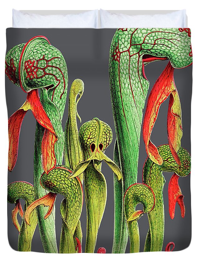Vintage Duvet Cover featuring the digital art Darlingtonia Californica #1 by Baptiste Posters