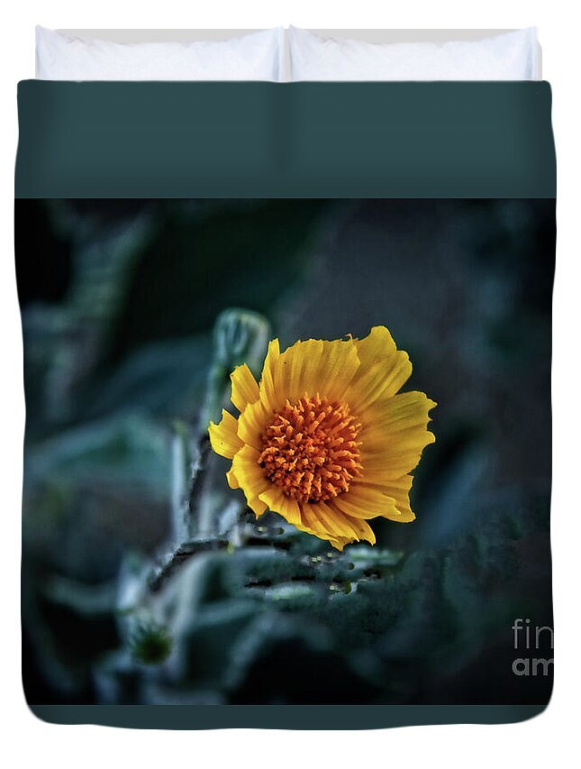 Arizona Duvet Cover featuring the photograph Desert Sunflower #1 by Robert Bales