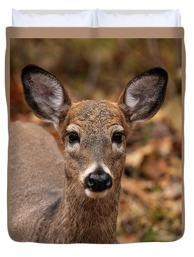 Nature Duvet Cover featuring the photograph Doe a Deer #1 by Jody Partin