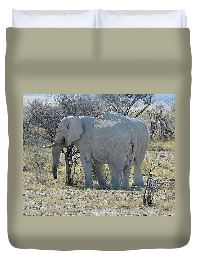 Africa Duvet Cover featuring the photograph Elephants #1 by Eric Pengelly