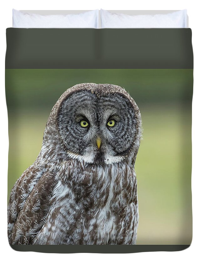 Great Grey Owl Duvet Cover featuring the photograph Great Grey Owl #1 by Sam Amato