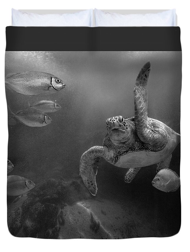 Disk1215 Duvet Cover featuring the photograph Green Sea Turtle Malaysia #1 by Tim Fitzharris
