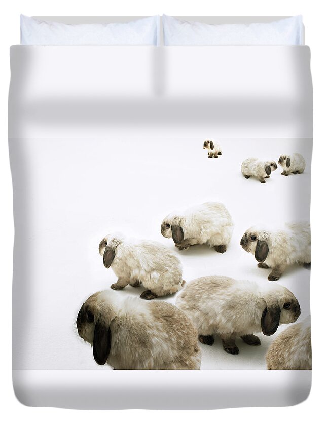 Pets Duvet Cover featuring the photograph Group Of Lop-eared Rabbits Against #1 by Michael Blann