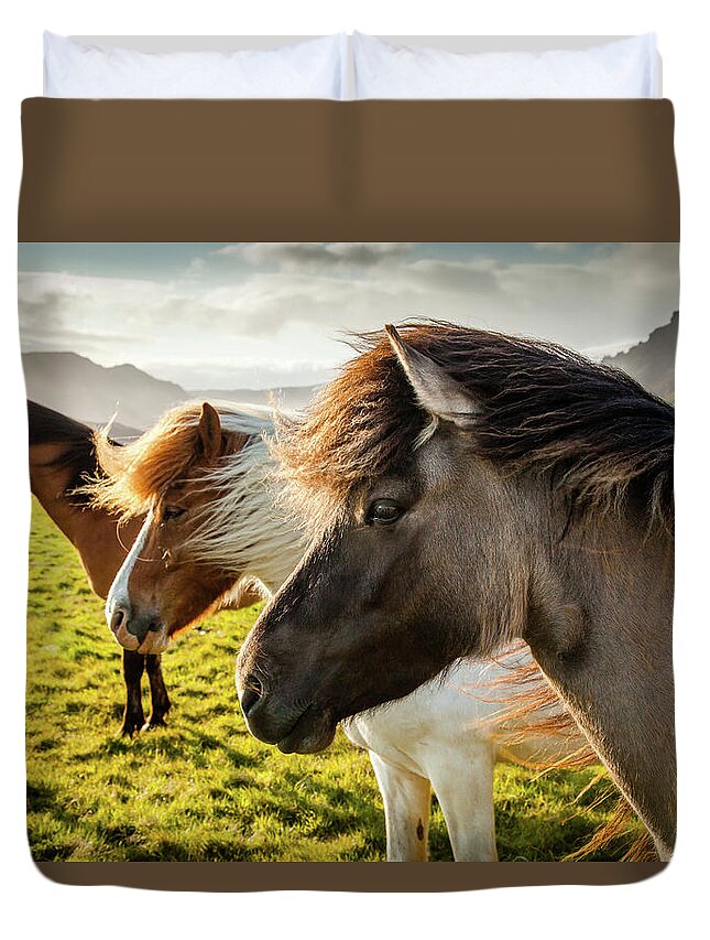 Iceland Duvet Cover featuring the photograph Icelandic Horses #1 by Peter OReilly