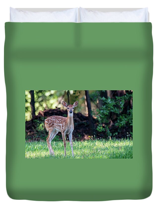 Deer Duvet Cover featuring the photograph Innocent Eyes of a Young Fawn by Marcy Wielfaert
