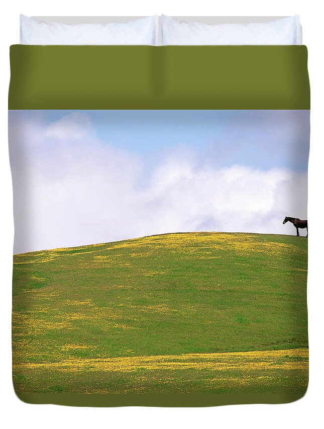 Horse Duvet Cover featuring the photograph Lush Grazing For Horses In The Meadows #1 by Mint Images - David Schultz