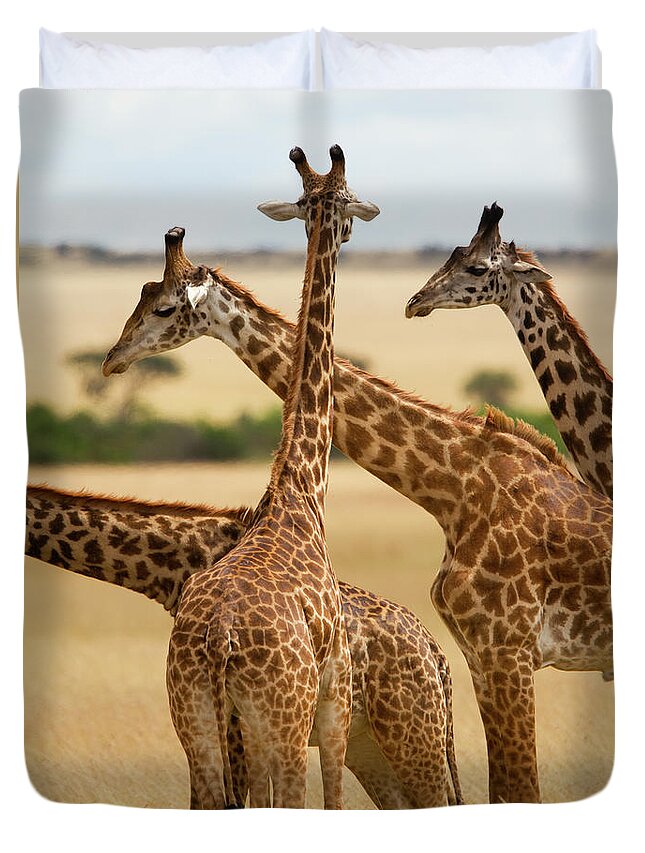 Kenya Duvet Cover featuring the photograph Masai Giraffe Graze On Masai Mara #1 by Carl D. Walsh