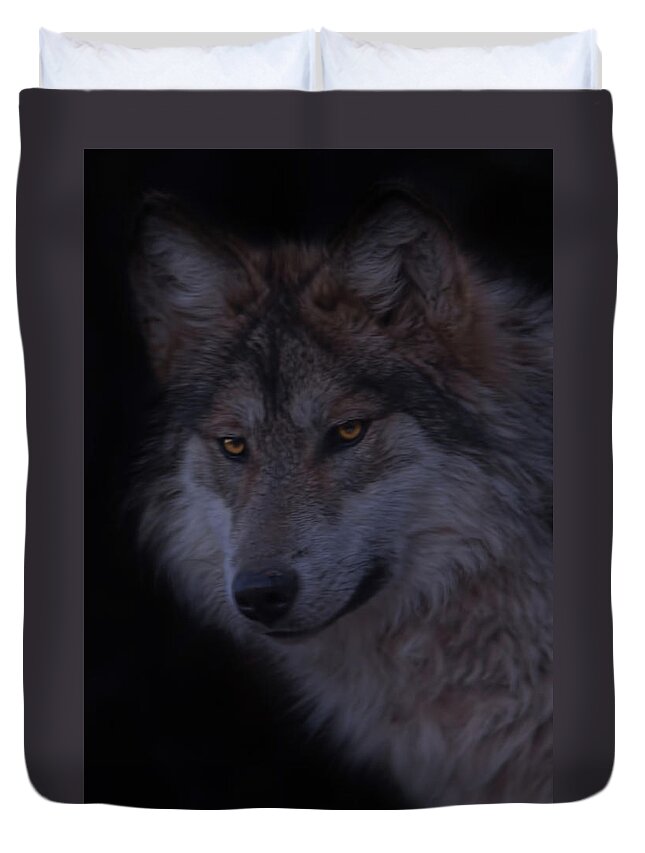 Animal Duvet Cover featuring the photograph Mexican Grey Wolf #1 by Brian Cross