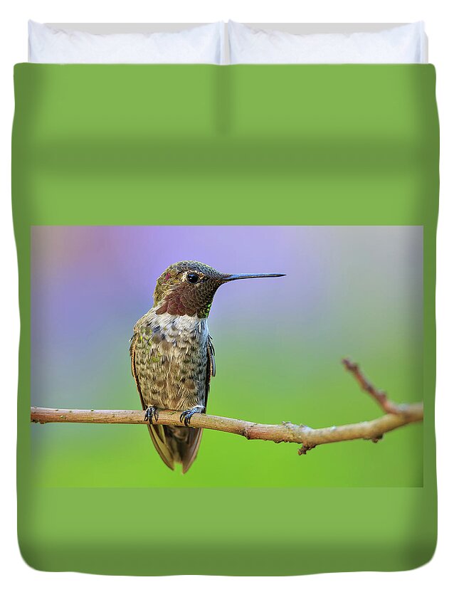 Animal Duvet Cover featuring the photograph Midsummer Night's Dream IV - Male Anna's Hummingbird by Briand Sanderson
